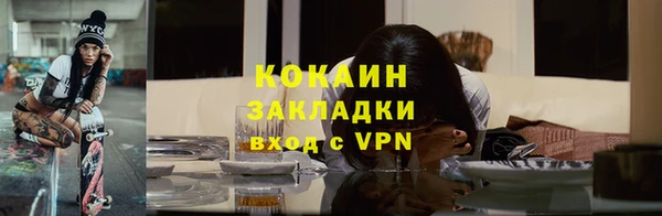 молекула духа Арсеньев