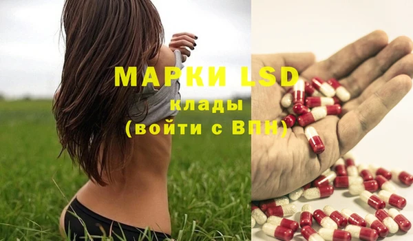молекула духа Арсеньев