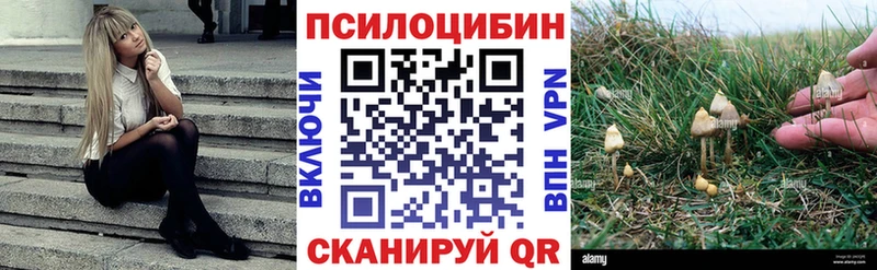 Галлюциногенные грибы GOLDEN TEACHER  дарнет шоп  Темрюк 